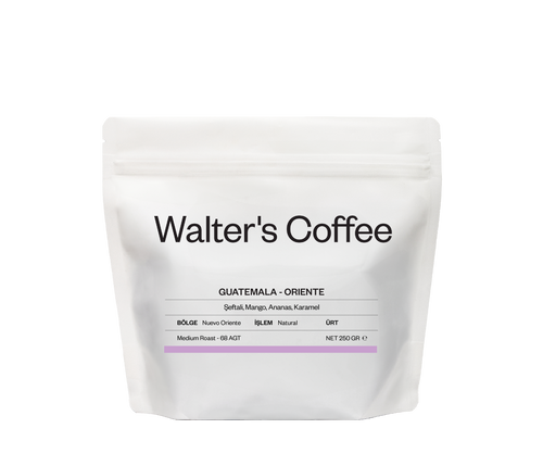 Guatemala Oriente Natural Specialty Kahve 250GR - Walter's Coffee