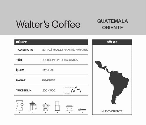 Guatemala Oriente Kahve Bilgi Kartı - Nuevo Oriente, Natural İşlem, Mango ve Ananas Notaları